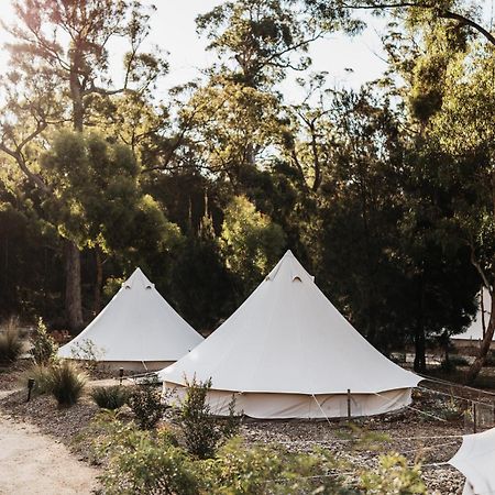 Bay Of Fires Bush Retreat Binalong Bay Exterior foto