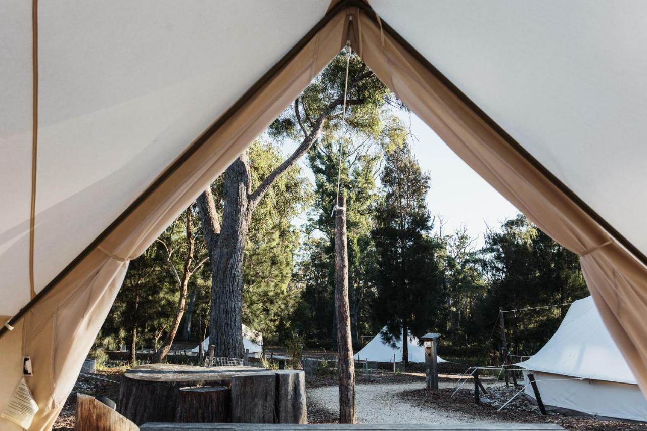Bay Of Fires Bush Retreat Binalong Bay Exterior foto